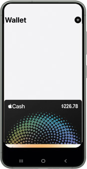 Open Apple Wallet iPhone