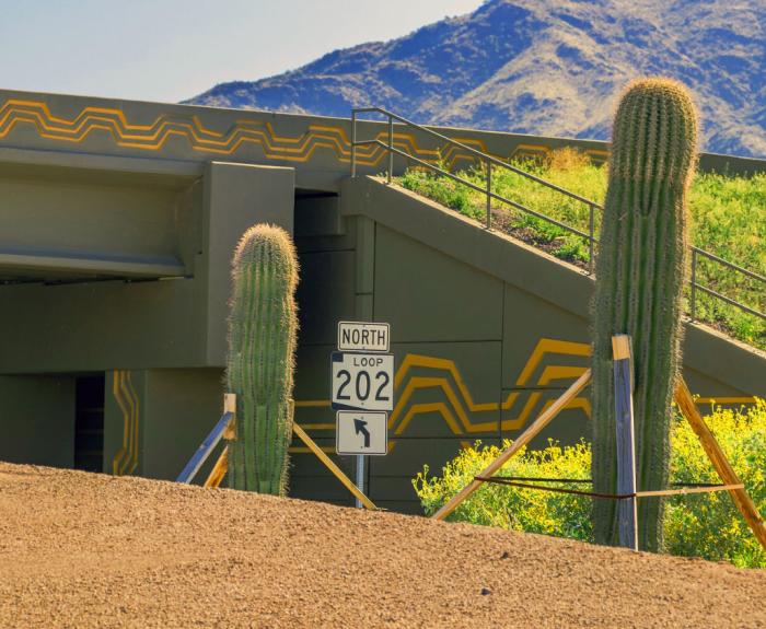 AZ freeway with cactus