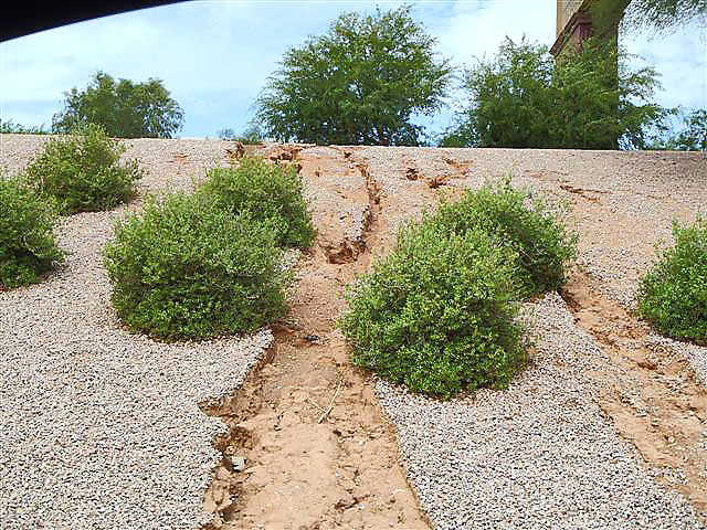 A closer look at the erosion of the landscaping along the roadway.