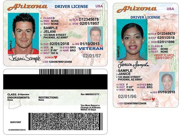 license examples license examples