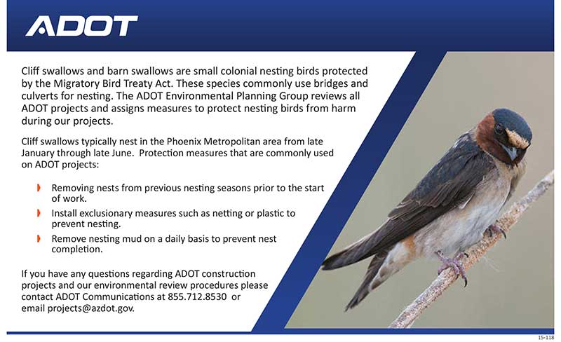 Nesting Birds Are Protected During Construction Adot