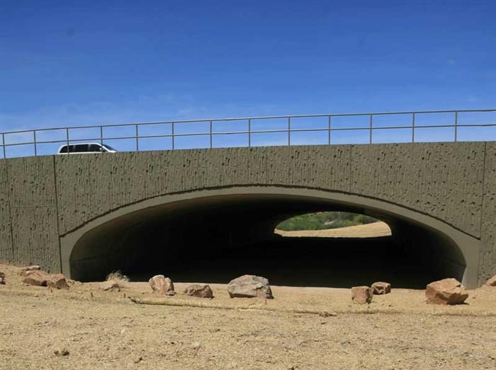 underpass wildlife crossing