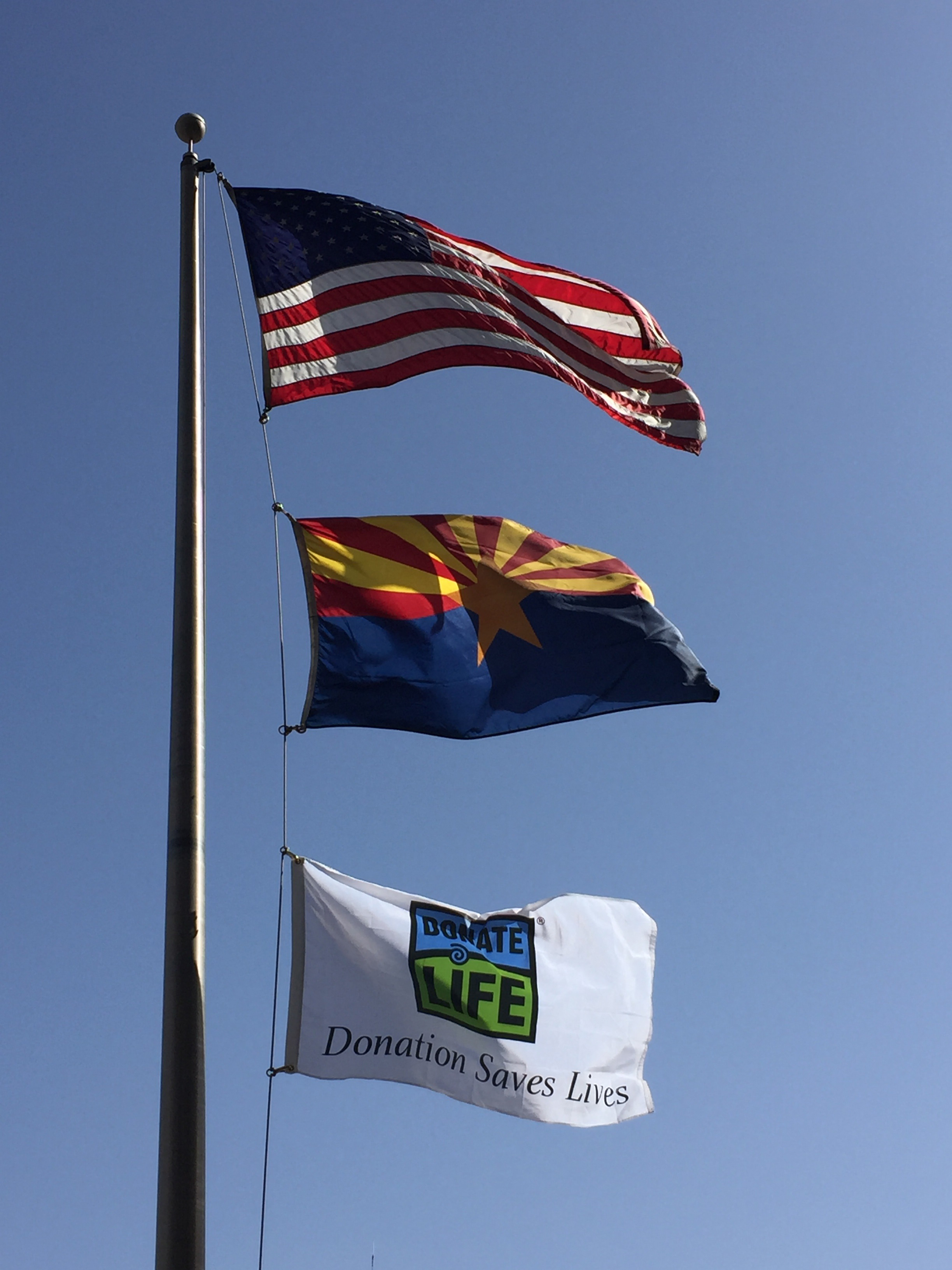 Donate Life raises flag at MVD Office for National Blue and Green Day