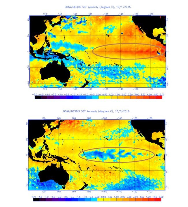 Sea surface temperature anomalies
