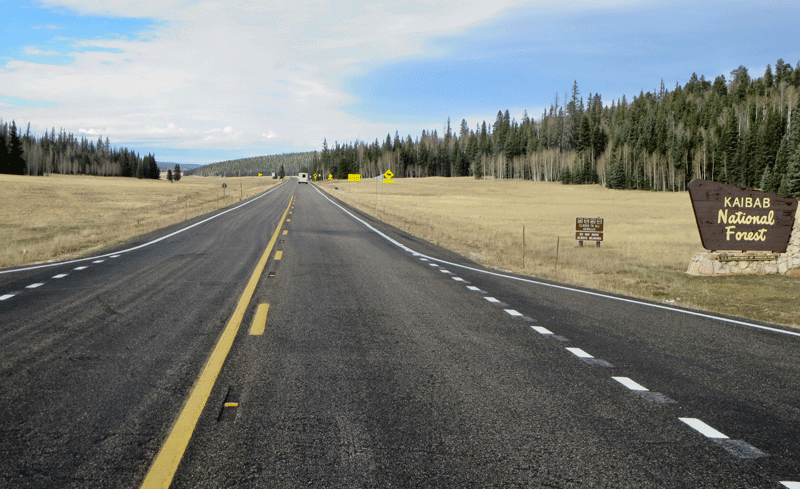 SR 67 through the Kaibab National Forest on the way to the north rim of the Grand Canyon.