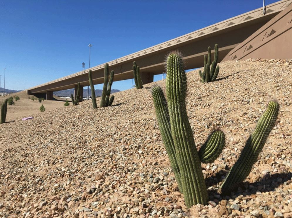 Loop 303 and I-10 Landscaping