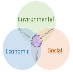 Figure 1: Sustainable Development across all disciplines