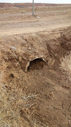 Drainage pipe half filled with sediment