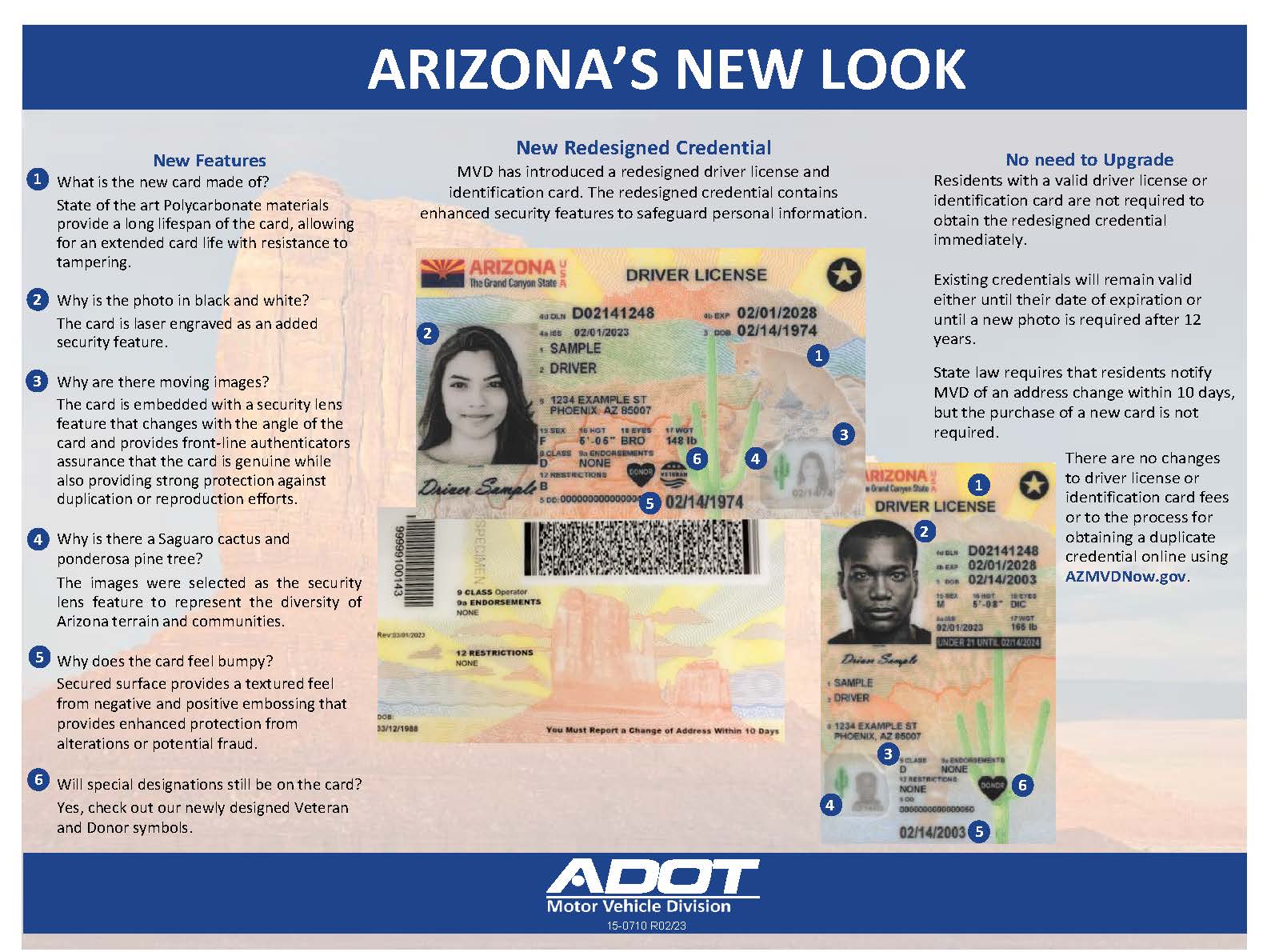 Driver's License Format by State