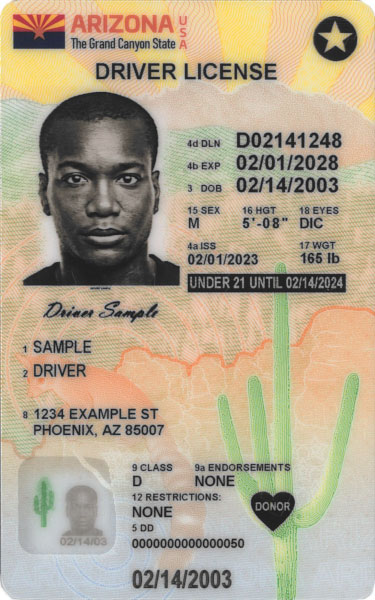 Arizona Driver License Exampl image - under 21