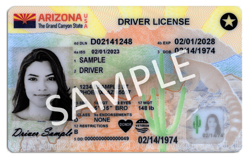 Driver License sample 2
