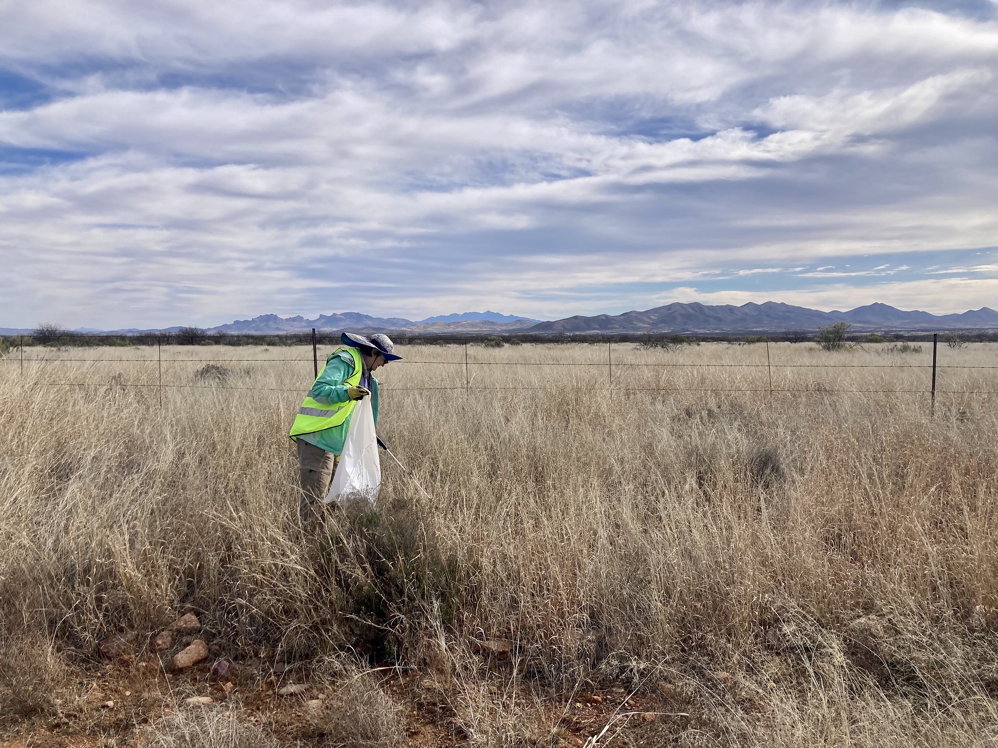 A woman removes litter from a highway shoulder in a rural, desert area with mountains in the distant background.