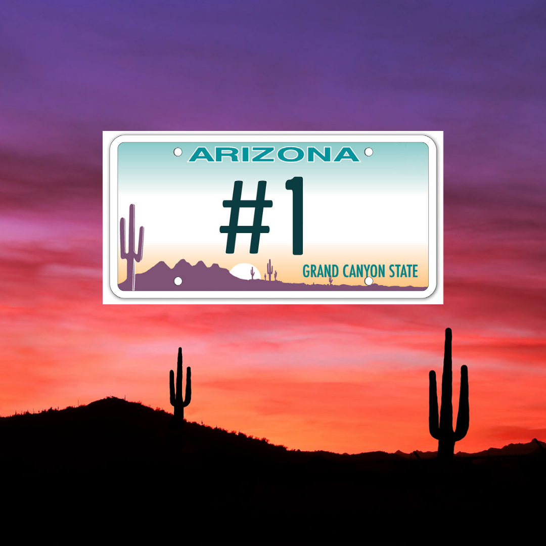 An Arizona license plate is pictured in the foreground of a desert sunset. The sky is colored shades of yellow, orange, pink, red and purple. Two saguaro cactus can be seen.