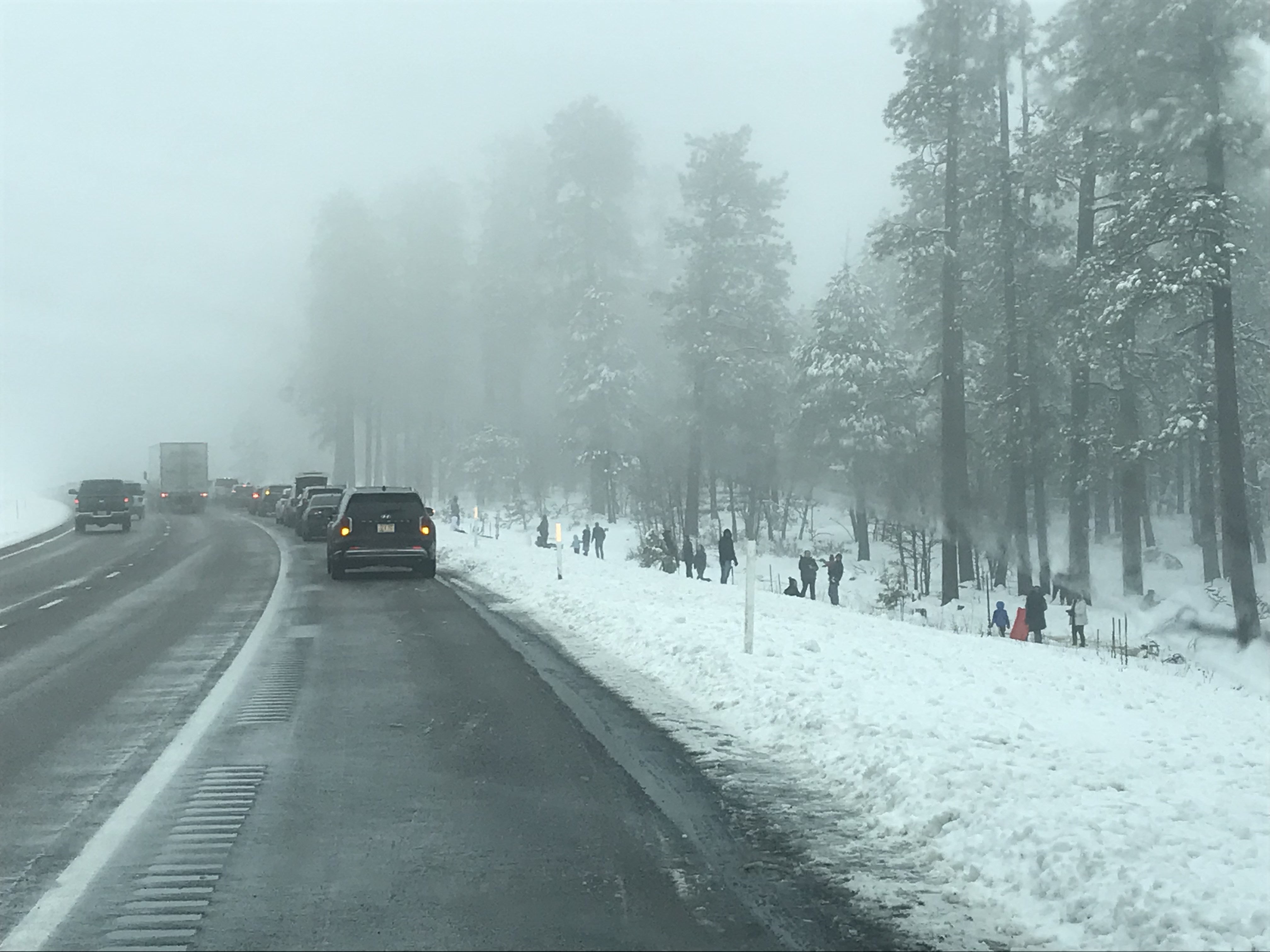 People playing in the snow along a highway shoulder