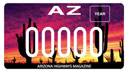Arizona Highways Magazine License Plate Motorcycle