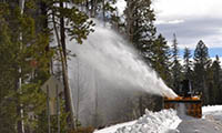 Snow blower