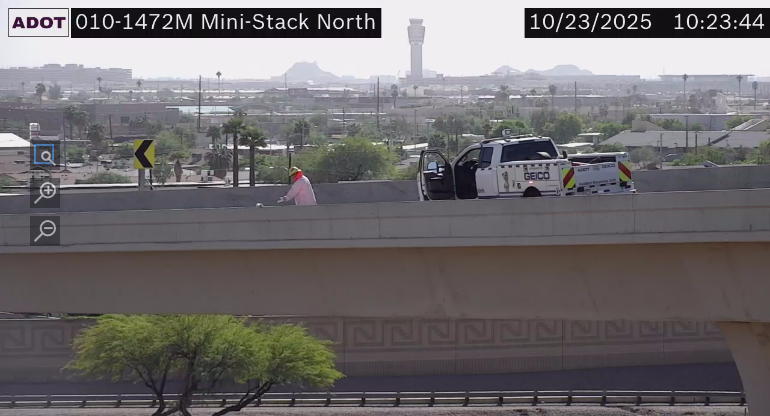 ADOT workers rescues a cat on a highway