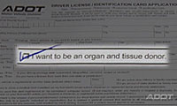 A section of a drivers license application form with a checked box labeled I want to be an organ and tissue donor.