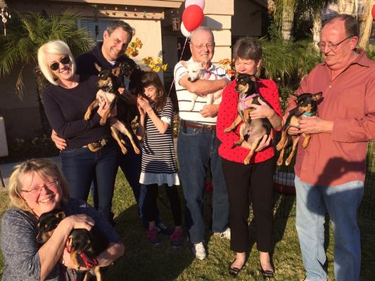 A group of six adults and one child stand outside holding small dogs, smiling together in a sunny yard.