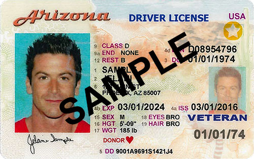 Arizona driver license sample displaying a headshot, personal information, veteran status, and the word SAMPLE printed across the front.