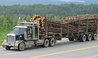 Loaded timber truck is moving across a highway