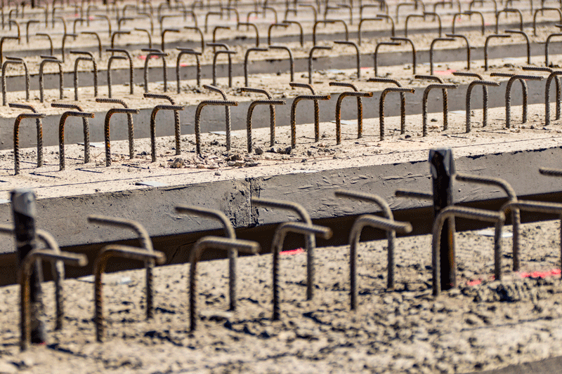 Rebar reminiscent of meerkats standing on hind legs