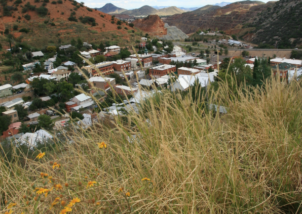 Overgrown vegetation on hills is overlooking the city of Bisbee SR-80