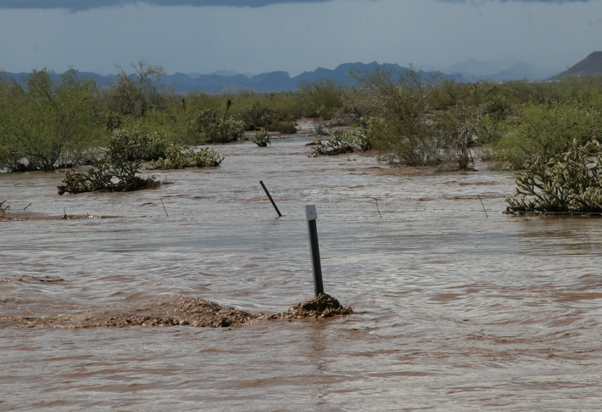 Flooded desert landscape with muddy water covering the ground and partially submerging fence posts and vegetation, with mountains visible in the distance.