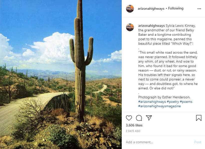 Arizona Highways image of saguaro alongside road