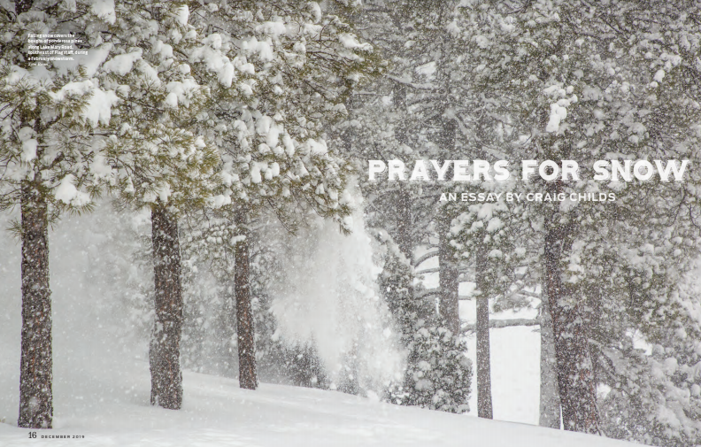 Snow falls heavily on pine trees in a wintry forest; “Prayers for Snow” essay title appears on the right.