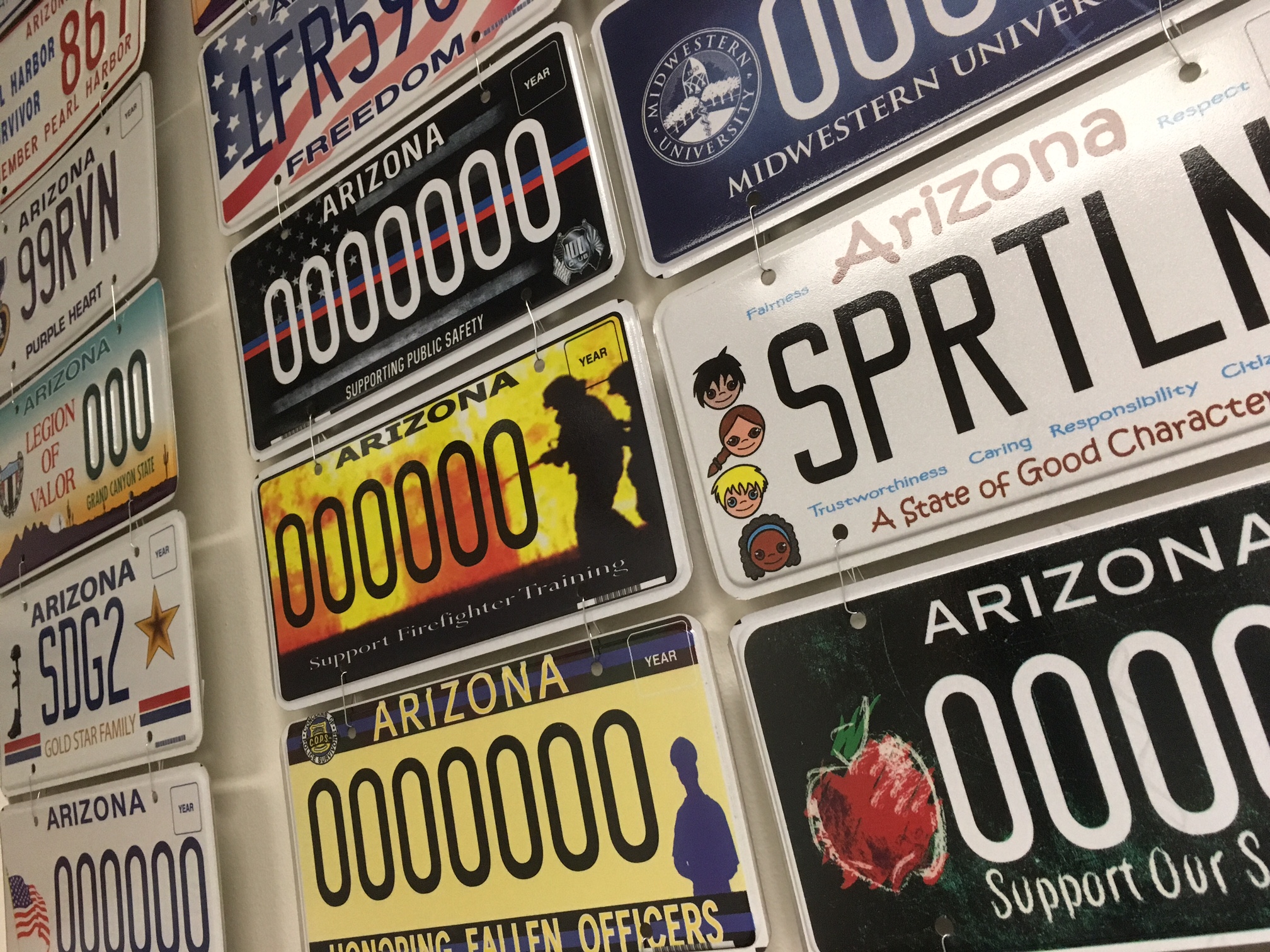 Specialty plate compilation