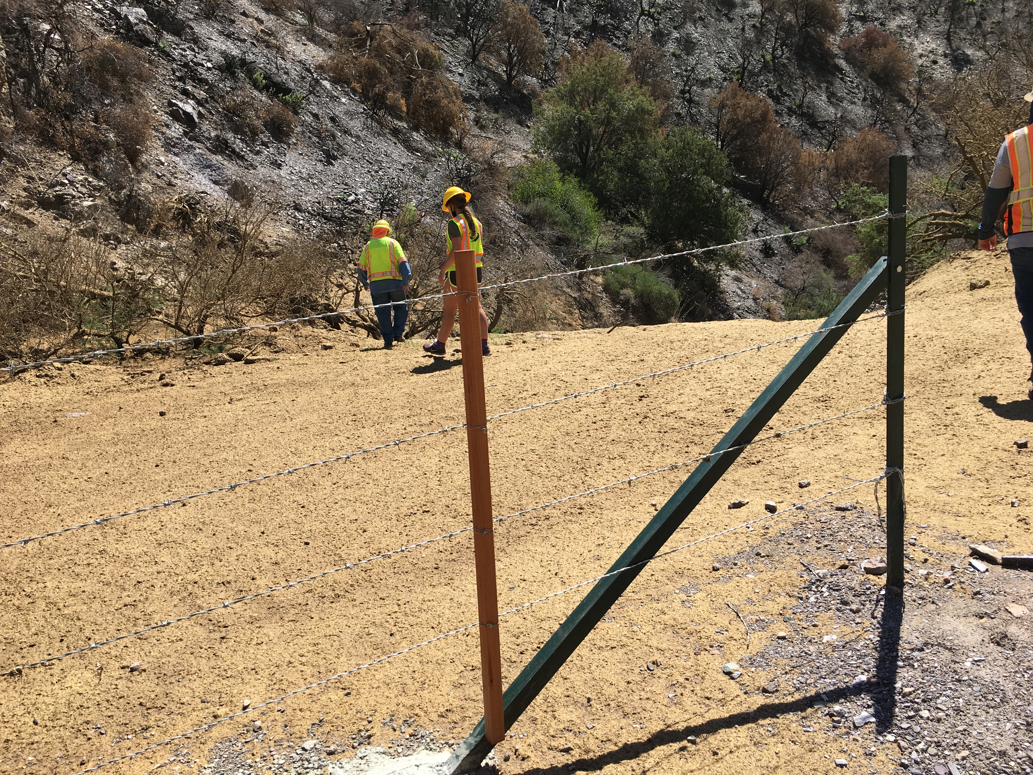 Three construction workers are wearing safety gear and checking out mulch at the base of a hill.