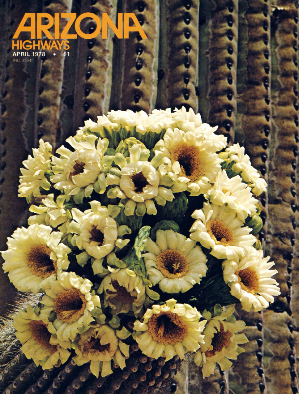 Arizona Highways Magazine cover cactus with flowers