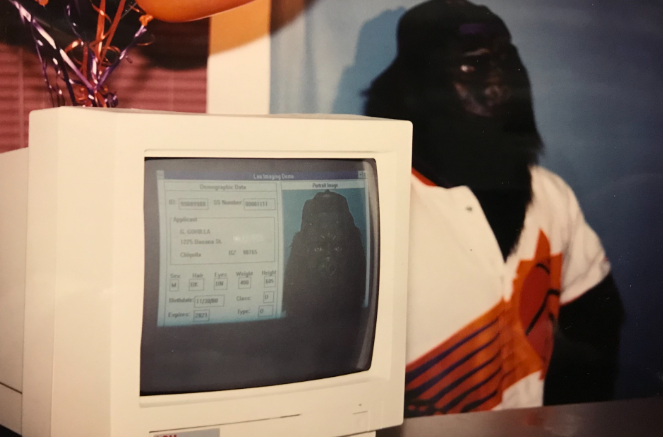 Image of Phoenix Suns' Gorilla getting photo taken at MVD