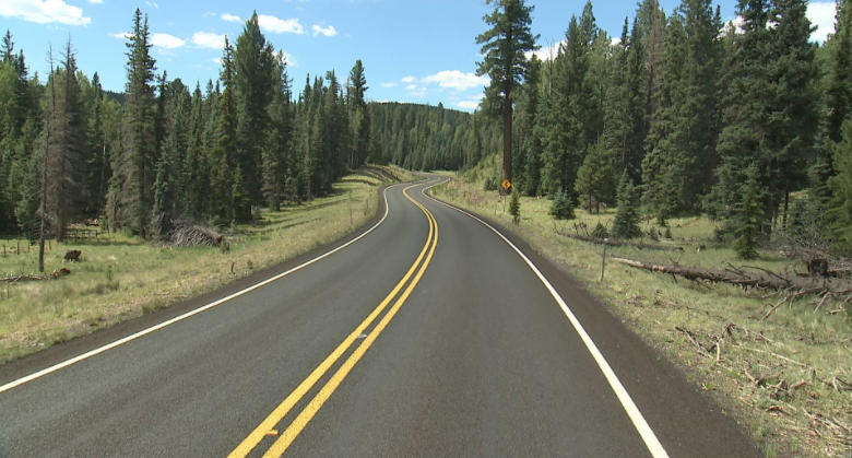 State Route 273 winds through the forest.