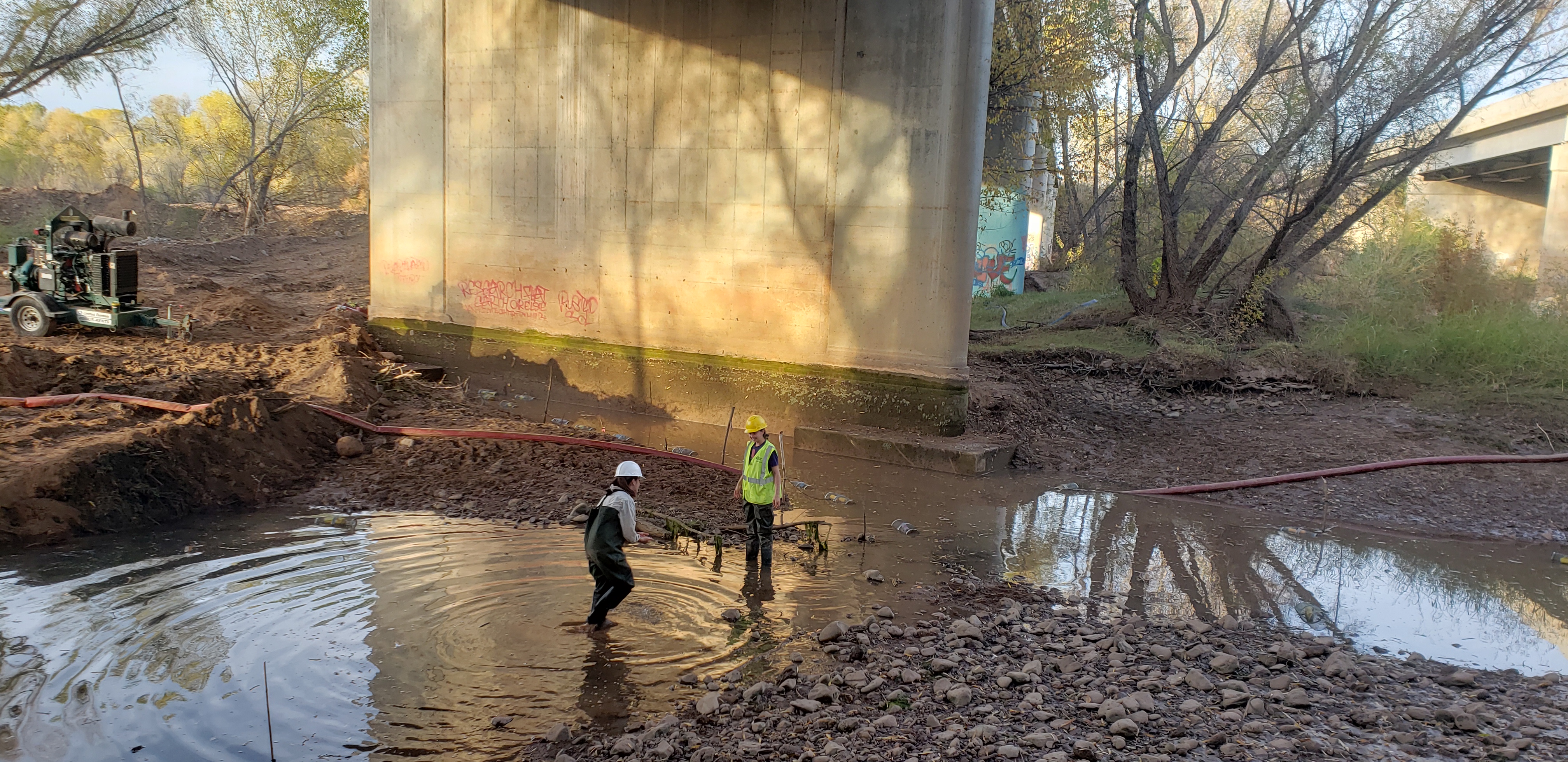 ADOT and NAU biologists work to protect endangered species in the river bed of the Verde Valley Bridge Interstate I-17