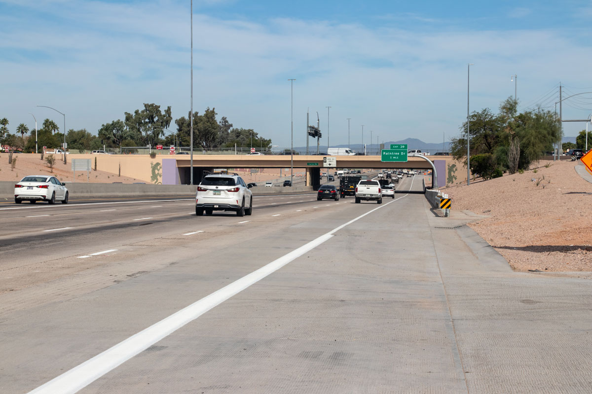 Decorative gecko artwork on a bridge pillar at a Loop 101 underpass with vehicles traveling beneath.