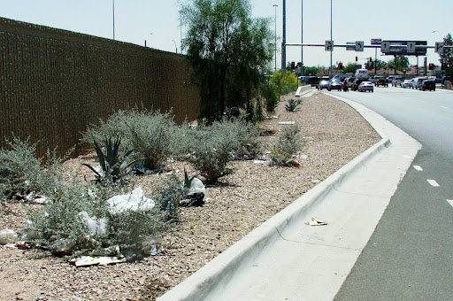 Litter scattered among desert plants beside a road with cars stopped at a traffic light in the background.