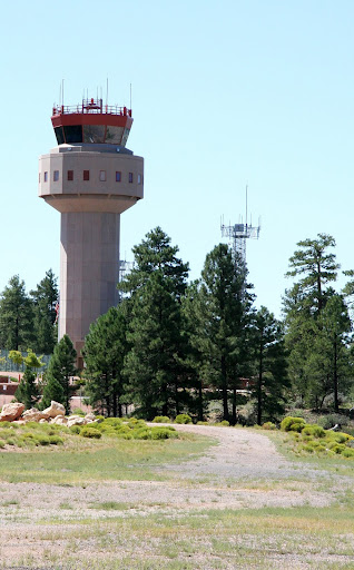 An air traffic control tower stands behind tall pine trees and shrubs under a clear blue sky.