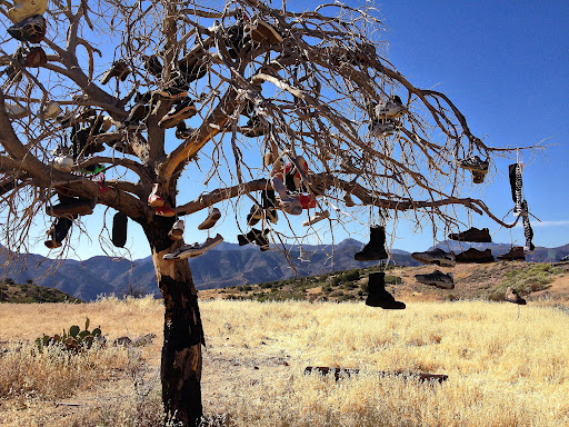 A leafless tree in a dry, grassy field with numerous shoes hanging from its branches under a clear blue sky and mountains in the background.