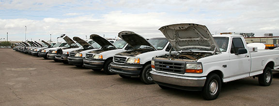A row of white pickup trucks parked on pavement with their hoods open.