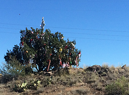 A tree decorated with colorful ornaments and tinsel stands on a rocky hill under a clear blue sky, with desert plants nearby.