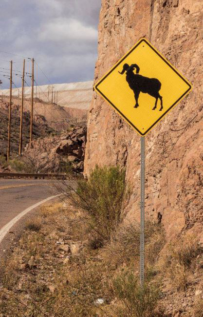 Bighorn sheep freeway sign