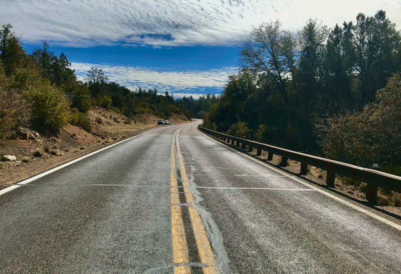 Two lane highway with trees on both sides