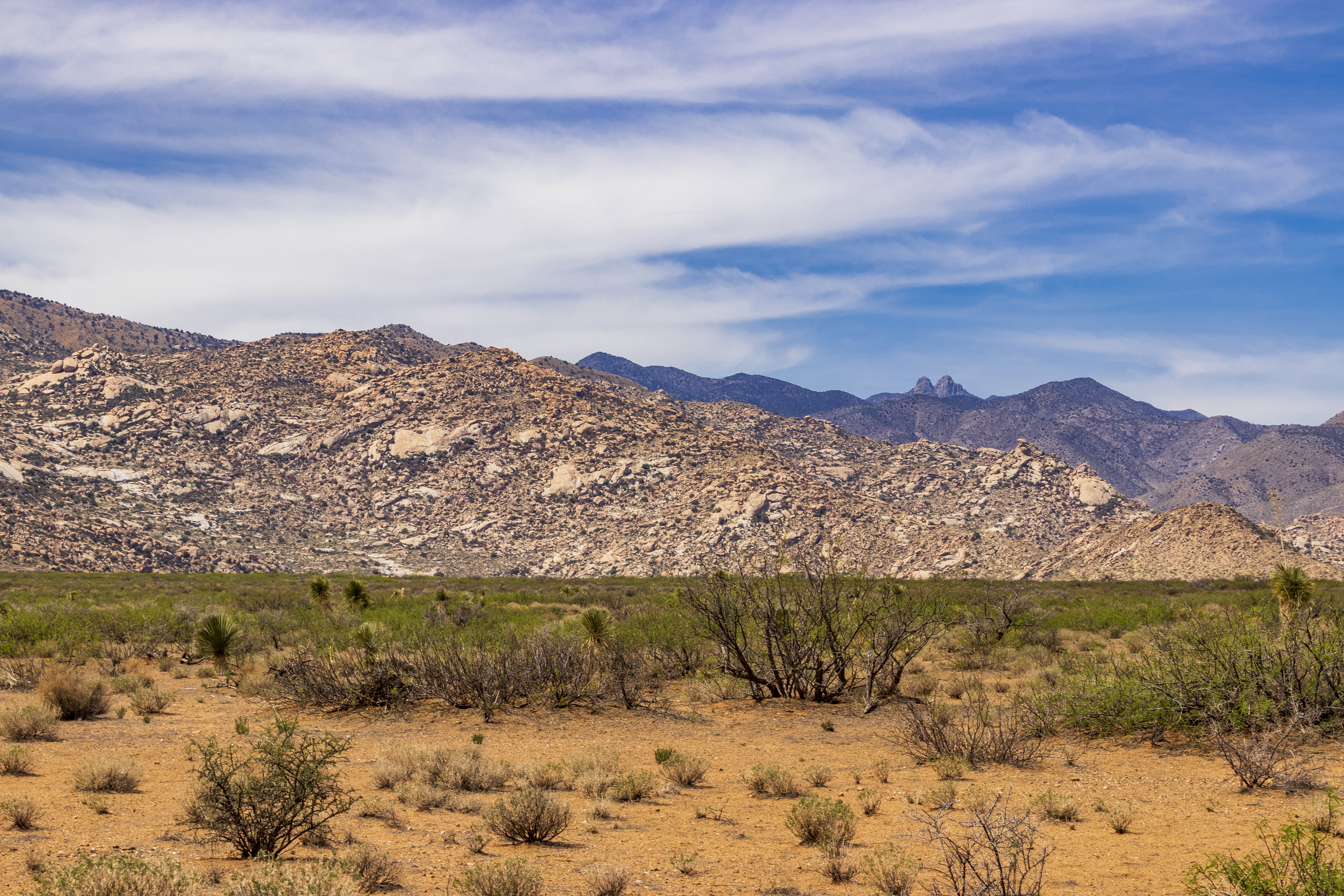 Desert scene with mountains