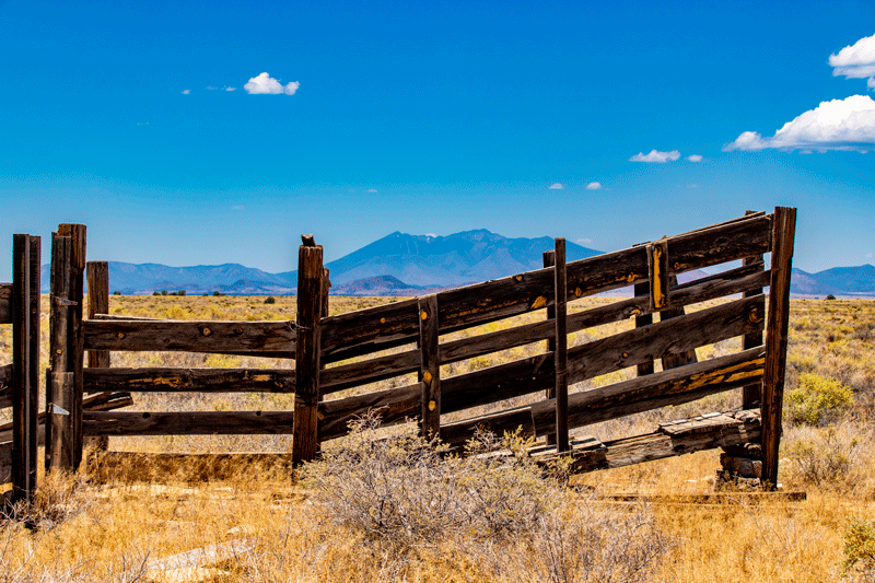 Old fence in grassy desert with mountains