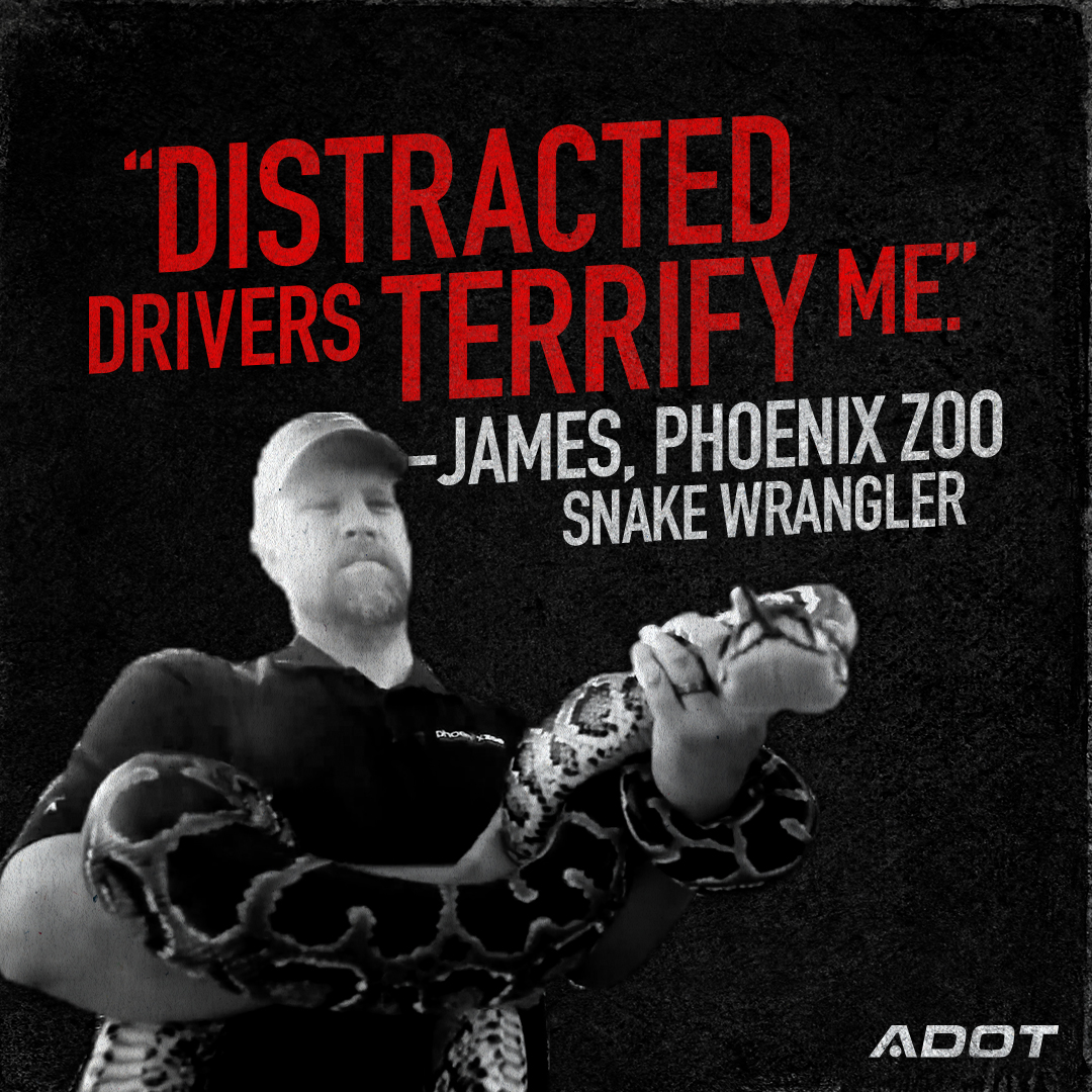 A man holding a large snake with the text: Distracted drivers terrify me. – James, Phoenix Zoo snake wrangler. ADOT logo is in the corner.