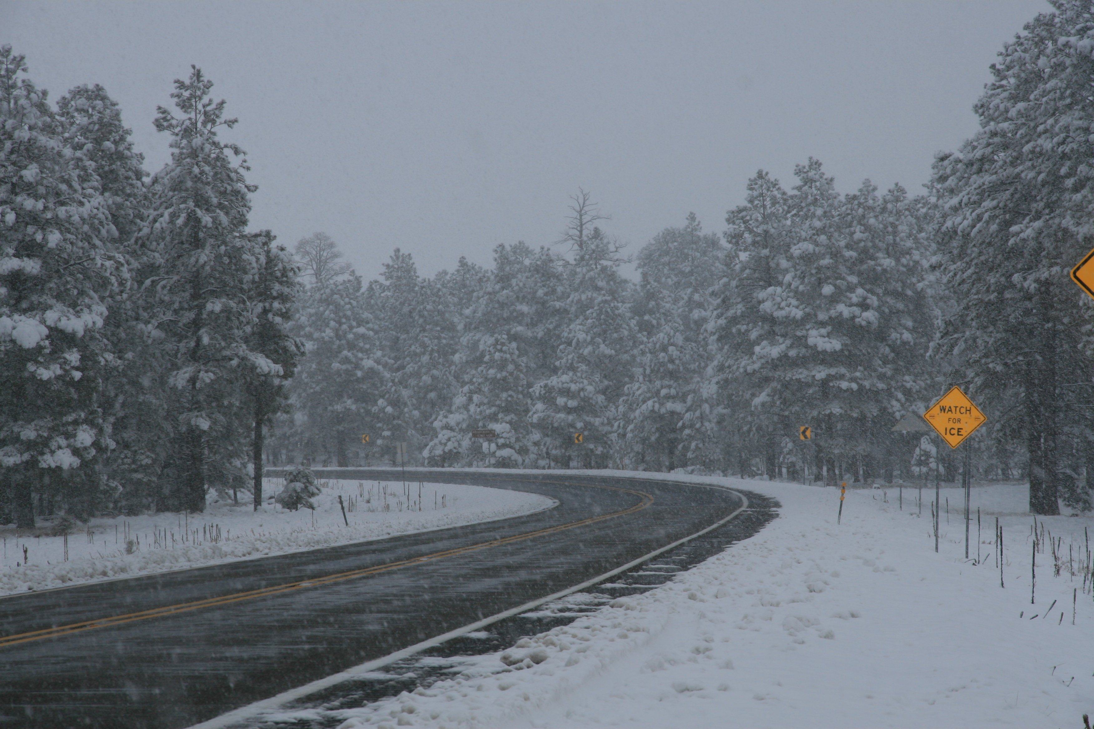 Snow on freeway