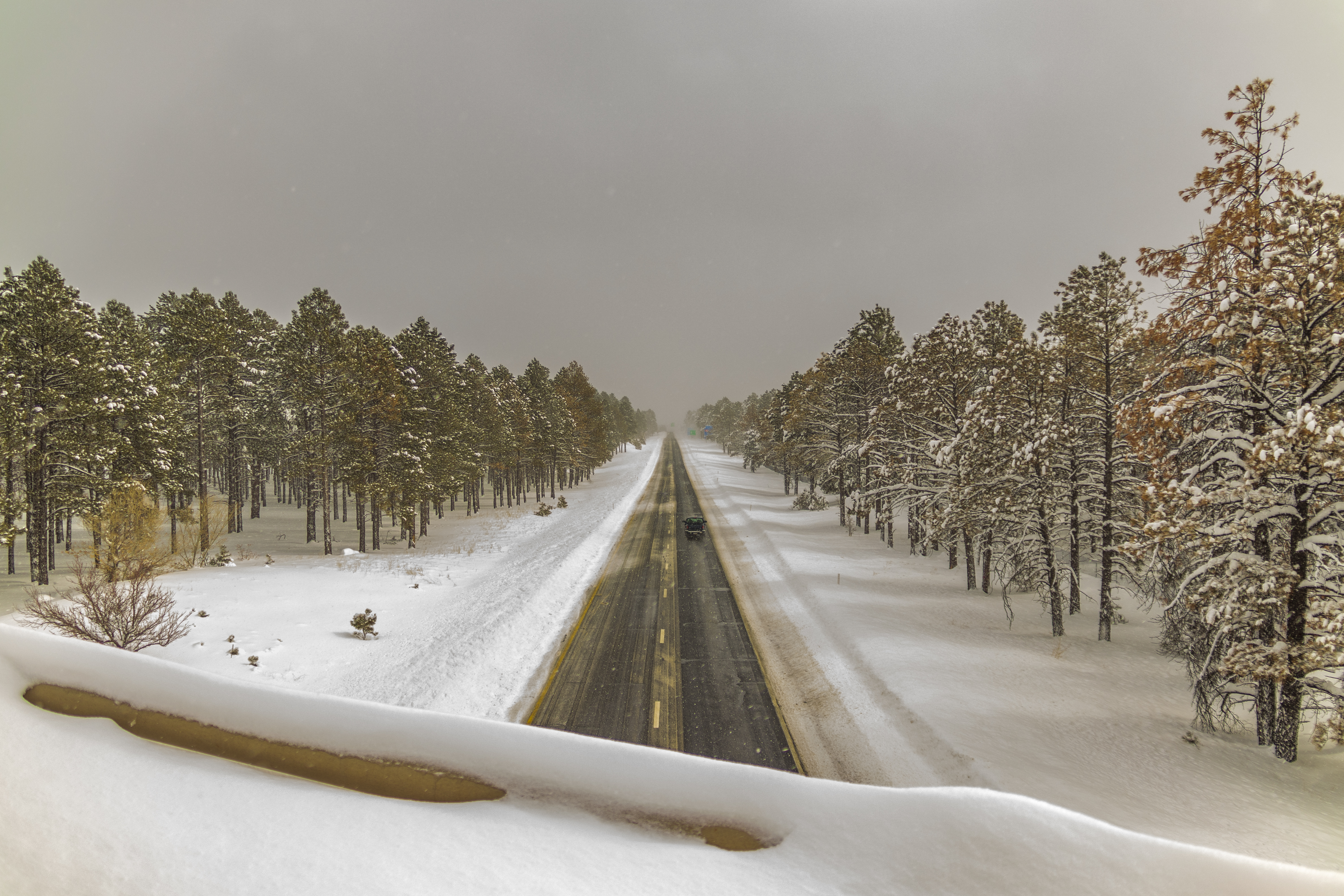 A freshly-plowed highway near Flagstaff, surrounded by snow-covered forest.