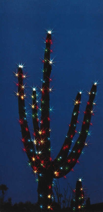 Christmas Lights Adorn a Saguaro Cactus by Dick Dietrich